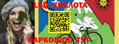 Альфа ПВП Будённовск