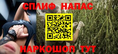 Альфа ПВП Будённовск