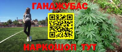 Альфа ПВП Будённовск