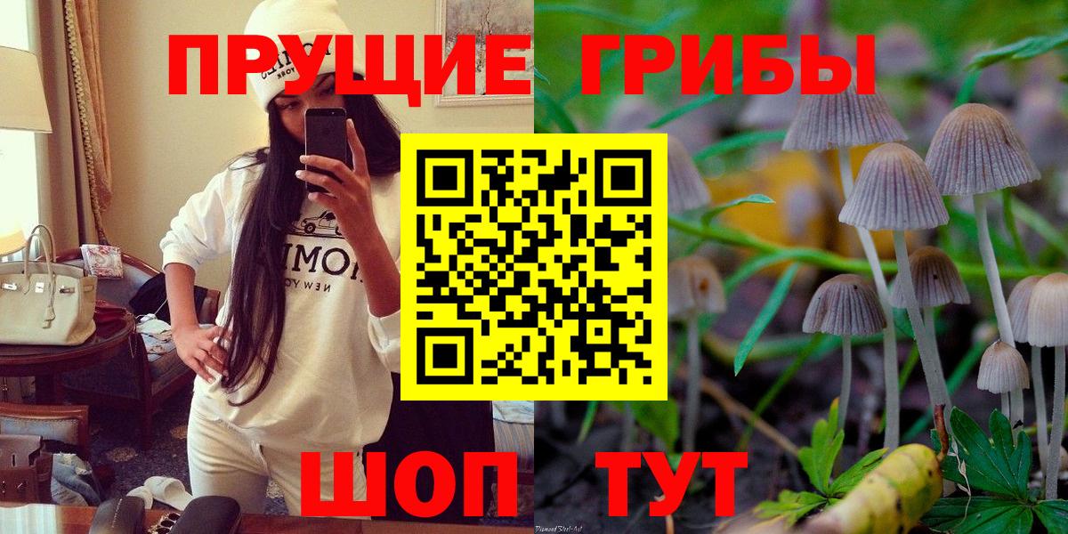Мичуринск  Галлюциногенные грибы мухоморы  Вход с VPN 
