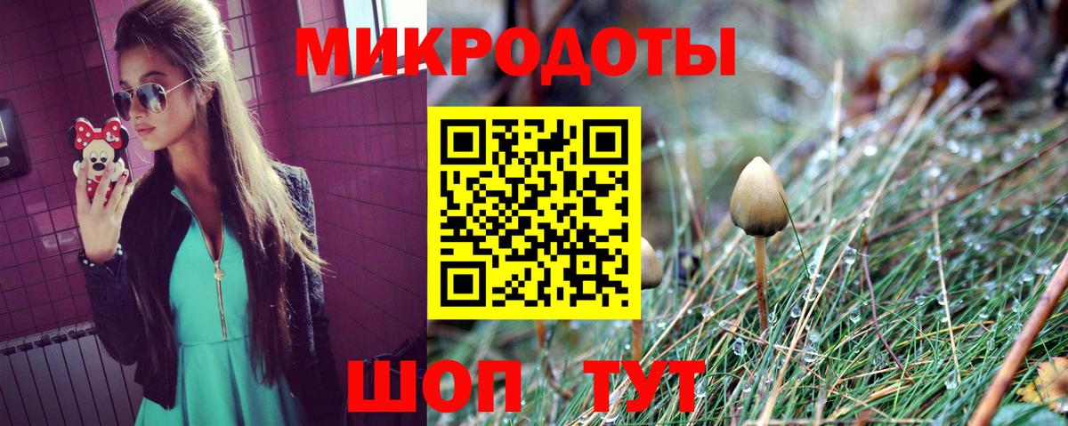 Галлюциногенные грибы Psilocybe Мичуринск